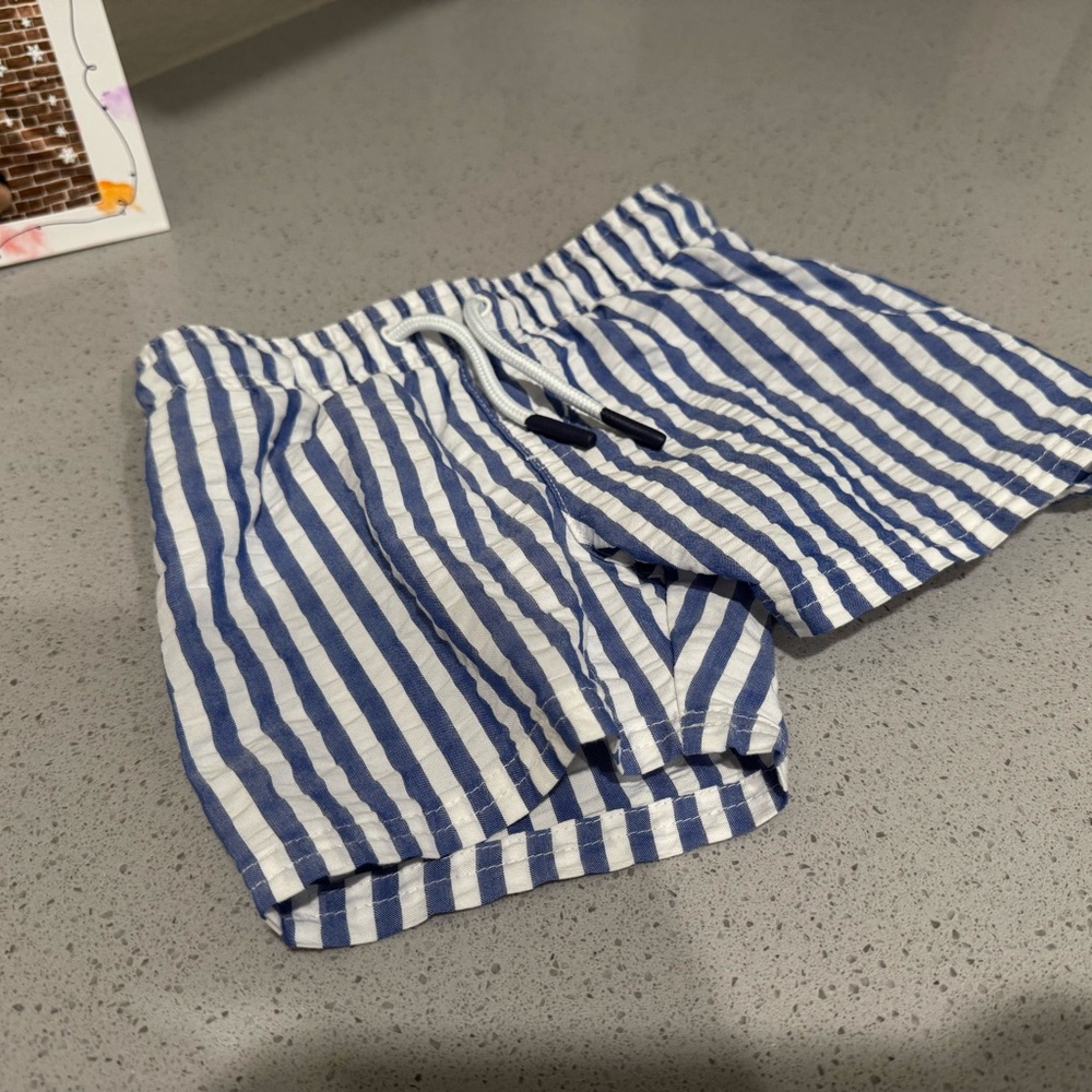 Blue and White Striped Swim Trunks
